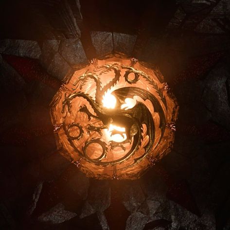 Arryn House, Game Of Thrones Aesthetic, Got Aesthetic, Dragon Aesthetic, Queen Rhaenyra, Game Of Thrones Dragons, Aemond Targaryen, Asoiaf Art, Daemon Targaryen