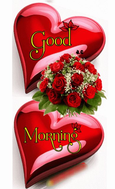 Good Morning Rose, Good Morning Rose Images, Good Morning Love Gif, Lovely Good Morning Images, Good Morning Beautiful Gif, Good Morning Flowers Rose, Morning Rose, Morning Flowers Quotes, Good Morning Sweetheart Quotes