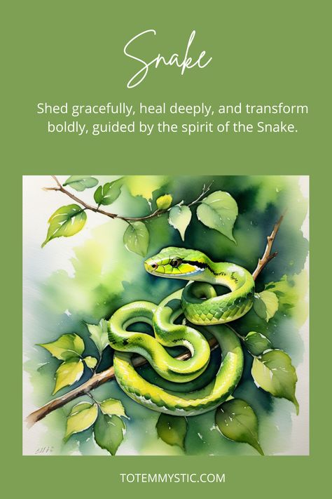 The spiritual meaning of the Snake encompasses transformation, symbolizing the shedding of old ways and embracing new beginnings, much like its skin renewal process. #spirit animal #spiritual meaning #totem #power animal Snake Symbolism, Cycles Of Life, Spirit Animal Totem, Snake Shedding, Skin Renewal, Old Ways, Power Animal, Embracing Change, Animal Totem