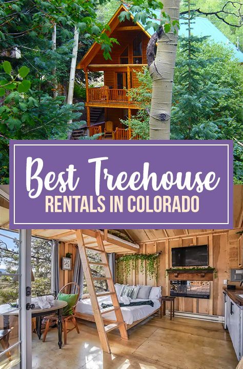 Colorado Places To Stay, Cheap Colorado Vacation, Cabins In Colorado Mountains, Best Places To Stay In Colorado, Colorado Vacation Ideas, Where To Stay In Colorado, Cabins In Colorado, Colorado Airbnb, Colorado Forest