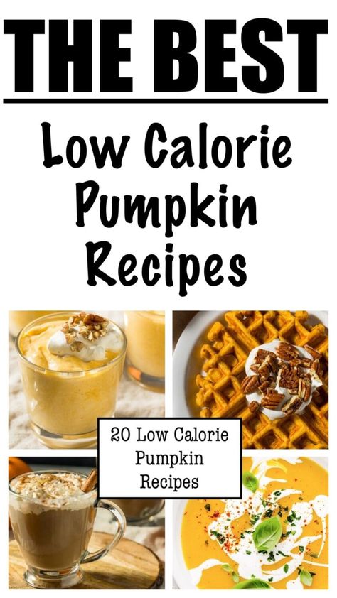 20 Low Calorie Pumpkin Recipes Weight Watchers Pumpkin Recipes, Healthy Pumpkin Recipes Low Calories, Low Calorie Pumpkin Recipes, Pumpkin Soup Healthy, Low Calorie Pumpkin, 500 Calories Recipes, Pumpkin Dump Cake Recipe, Weight Watchers Pumpkin, Low Calorie Chocolate