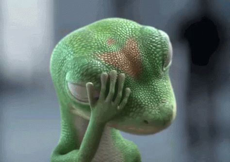 Stop GIF - Gecko Geico Facepalm - Discover & Share GIFs Epic Fail, Cartoon Gifs, Gecko, Jurassic World, Images Gif, Car Insurance, Nickelodeon, Animated Gif, Cool Gifs