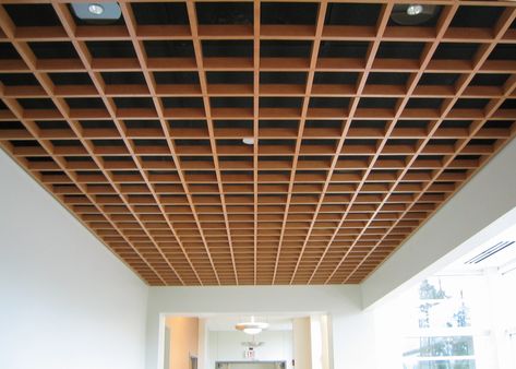 Rulon International Ceiling Suspended Ceiling Design, Suspended Ceiling Panel, Waffle Ceiling, Wood Ceiling Panels, Baffle Ceiling, Building Design Plan, Central Michigan University, Michigan University, Ceiling Design Living Room