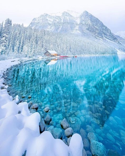 Nature is indifferent to our love, but never unfaithful. - Edward Abbey Lake Agnes Tea House, Lake Louise Canada, Lake Agnes, Canada Photos, Landscaping Images, Lake Louise, Canadian Rockies, Winter Wonder, Most Beautiful Cities