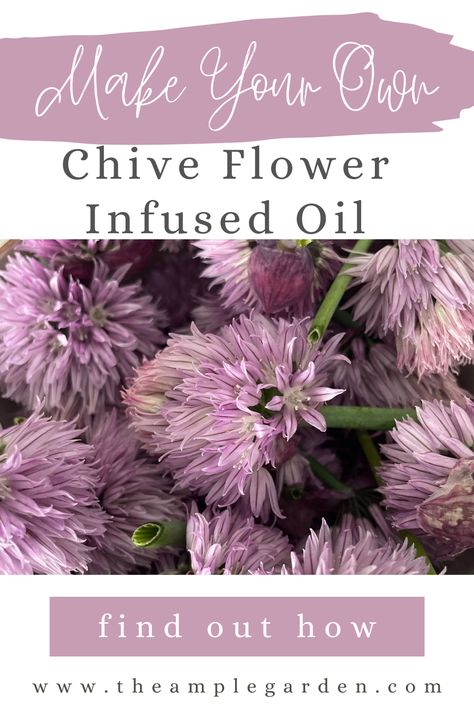 Elevate your culinary prowess with this delightful ingredient that imparts a delicate onion flavor to your favorite dishes. From delicious salads to divine appetizers, our blog post showcases creative ways to use chive flower-infused oil that will impress your guests. Discover the art of crafting your own aromatic botanical-infused oil and embark on a flavorful culinary adventure. Pin it now for endless culinary inspiration! Chive Flowers Recipe, Flower Infused Oil, Infused Oil Recipes, Chive Flowers, Chives Recipe, Chive Flower, Chive Blossom, Onion Flower, Edible Flowers Recipes