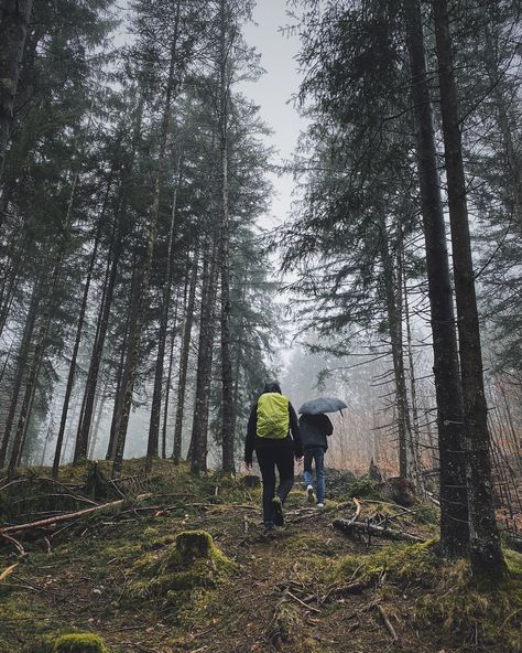 #forest #aesthetic #hiking #woodland #germany German Forest, Hiking In The Rain, Inappropriate Clothing, Aesthetic Hiking, Ocracoke Island, Forest Aesthetic, Day Hiking, Visit Germany, February 3