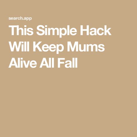 This Simple Hack Will Keep Mums Alive All Fall How To Keep Mums Alive Longer, Easy Gardening Hacks, Caring For Mums, Clever Kitchen Storage, Diy Gifts For Mothers, Busy Board Baby, Kitchen Storage Hacks, Easy Diy Hacks, Winter Survival