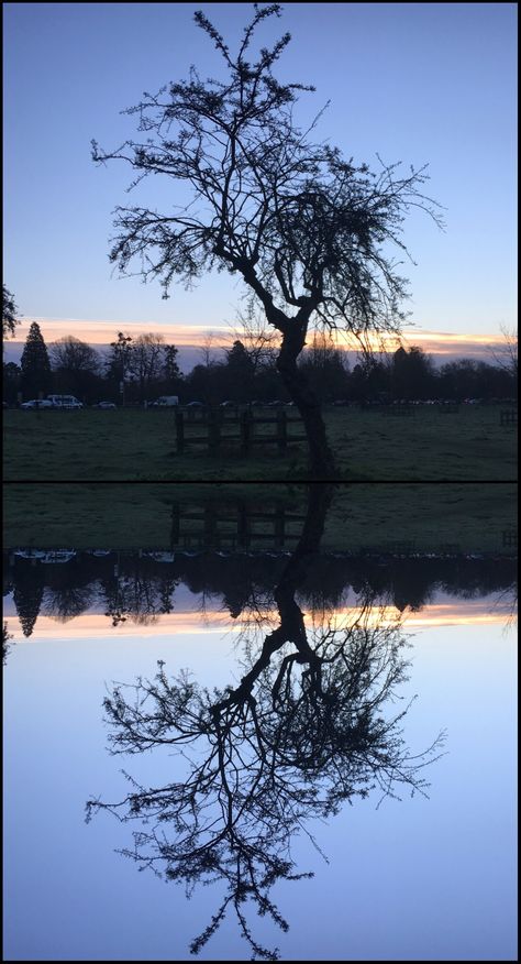 Symmetry Photography Nature, Nature Symmetry, Symmetry Photography Ideas, Balance Photography Ideas, Symmetrical Photography, Places And Spaces Gcse Photography, Symmetry Photography, Environment Photography, Symmetry Art