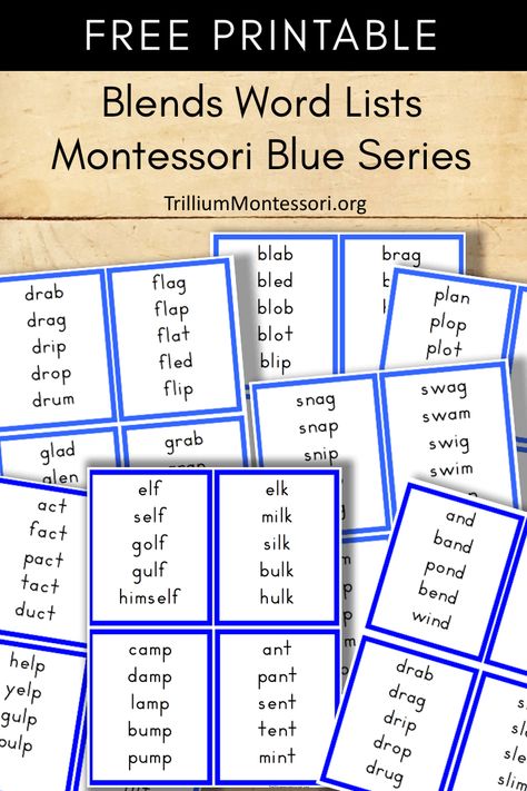 Free Montessori printable Blends reading word word lists for the blue series Montessori Printables Free, Montessori Writing, Montessori Reading, Montessori Language, Montessori Printables, Rain Sticks, Montessori Elementary, Montessori Lessons, Consonant Blends