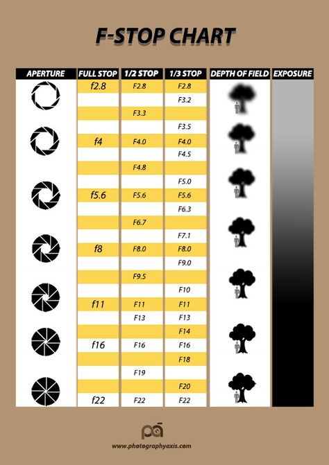 F stop Chart (Aperture Stop Chart) Explained - PhotographyAxis Aperture Priority Cheat Sheet, Aperture Depth Of Field, F Stop, Aperture Photography, Chart Infographic, Photography Cheat Sheets, Photographs Of People, Take Better Photos, Photography Lessons