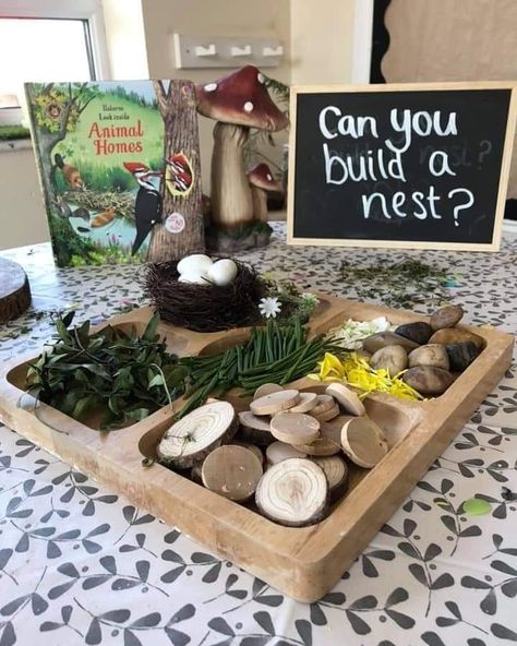 Invite a child to play and discover Reggio Farm Provocations, Farm Reggio Emilia, Reggio Spring Provocations, Book Provocations, Provocations Preschool, Growing Eyfs, Reggio Provocations, Provocations Reggio, Reggio Emilia Classroom