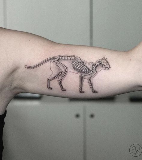 Cat Skeleton Tattoo, Veterinarian Tattoo, Vet Tech Tattoo, Tat Inspiration, Tech Tattoo, Monkey Tattoo, Cat Tatto, Pretty Tattoo, Skeleton Tattoo