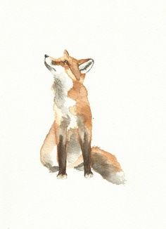 great colors Fox Profile Drawing, Abstract Fox Painting, Red Fox Watercolor, Watercolour Fox Painting, Red Fox Drawing, Ava Tattoo, Fox Profile, Fox Drawing Sketches, Fox Watercolor Painting