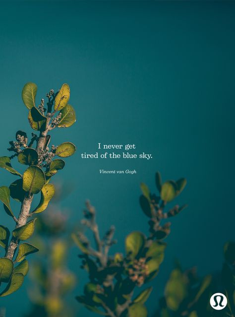 "I never get tired of the blue sky." Nature Background Images, Age Of Aquarius, The Blue Sky, Spoken Words, Summer Nature, Nature Quotes, Mellow Yellow, Hello Summer, Love Words