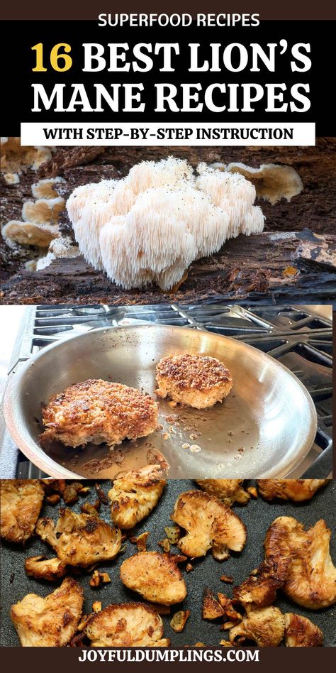 Lion’s Mane Recipes How To Cook Lions Mane Mushrooms Recipes, Lion Head Mushroom Recipe, Lion's Main Mushroom Recipe, How To Make Lions Mane Mushrooms, How To Use Lions Mane Mushroom, Fresh Lions Mane Recipes, Lions Main Recipes, Lions Main Mushroom Recipes Vegan, Dried Lions Mane Mushroom Recipe