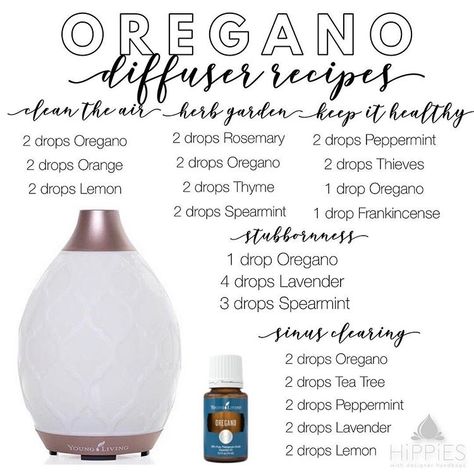 Oregano is a vital part of staying healthy this winter! Diffuse, apply topically or ingest Oregano to help fight sickness and keep your… Oregano Essential Oil Uses, Oregano Essential Oil Diffuser Blends, Diffuser Scents, Eo Blends, Oregano Essential Oil, Essential Oil Combinations, Essential Oils 101, Oregano Oil, Essential Oil Diffuser Recipes