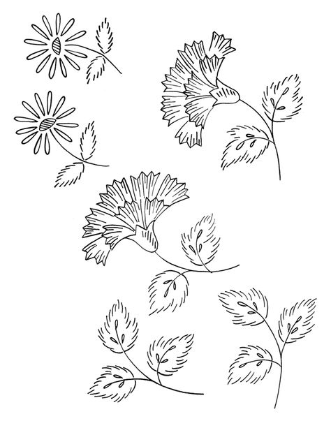 Vintage Crewel Embroidery Patterns, Vintage Embroidery Patterns Retro 1950s, Carnation Embroidery Patterns, Free Hand Embroidery Patterns Printable, Carnations Embroidery, Carnation Embroidery, Vintage Embroidery Designs, Vintage Floral Embroidery, Vintage Embroidery Transfers