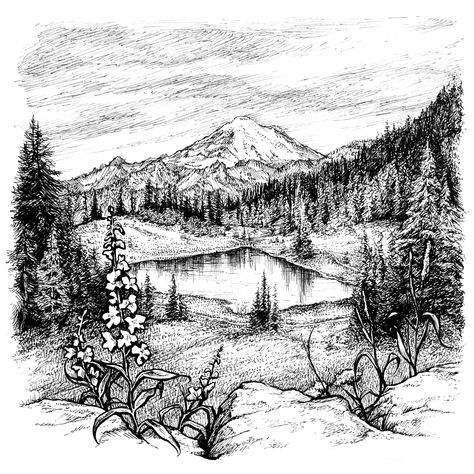 "This illustration features the iconic Mt. Rainier within the Pacific Northwest landscape. A lovely decoration for an outdoor adventurer, a Washington native, or for anyone who loves nature, this 8\"x8\" art print is easy to frame for your wall or desk. This image of my original ink drawing is printed on high quality, 100 lb matte archival paper." Pacific Northwest Landscape, Micron Pen Art, Northwest Landscaping, Pacific Northwest Art, Original Ink Drawing, Mt Rainier, Outline Art, Ink Drawings, Landscape Drawings