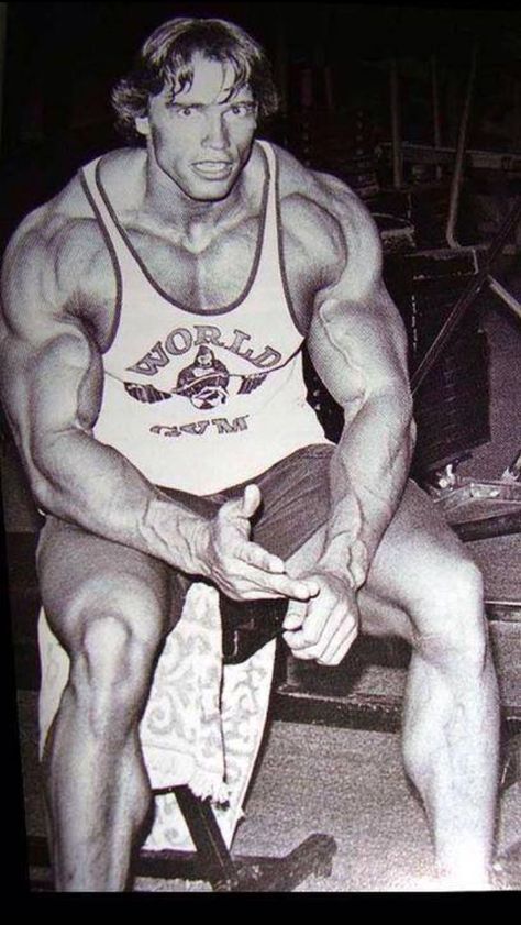 Arnold Schwarzenegger Muscle, Arnold Bodybuilding, Arnold Schwarzenegger Bodybuilding, Schwarzenegger Bodybuilding, Bodybuilding Pictures, Pumping Iron, Body Building Men, Mr Olympia, Body Builder