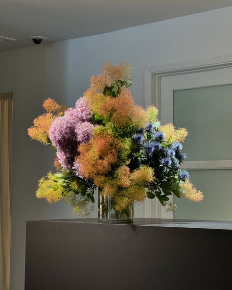 smokebush arrangement for @driesvannoten 🤍 Living Flower Arrangements, Cool Floral Arrangements, Artsy Flower Arrangements, Smokebush Arrangement, Flowers Display, Floristry Design, Boquette Flowers, Nothing But Flowers, Vase Arrangements