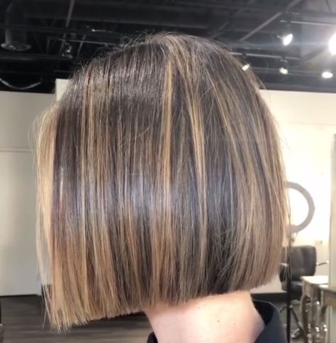 Short Brown Bob With Highlights, Short Brown Hair With Highlights Bob, Bob Highlights Brunette, Bob With Highlights Brunette, Bob Haircut Highlights, Hair Dye Colors Ideas, Bob Haircut With Highlights, Short Bob With Highlights, Brunette Bob With Highlights