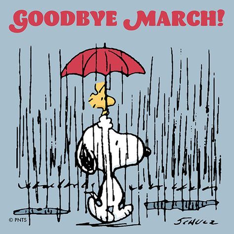 Goodbye March, Charlie Brown Quotes, Woodstock Snoopy, Snoopy Dog, Snoopy Cartoon, Snoopy Funny, Peanuts Cartoon, Snoopy Wallpaper, Snoopy Quotes