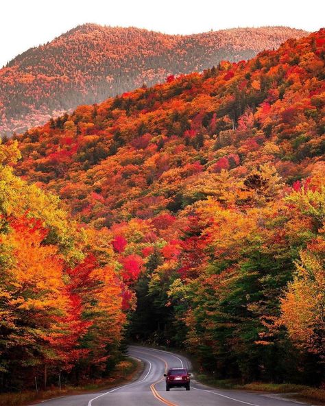 Landscaping Images, Colorful Trees, White Mountains, Autumn Scenery, Fall Pictures, Scenic Routes, Colorful Leaves, Travel Photographer, Fall Foliage