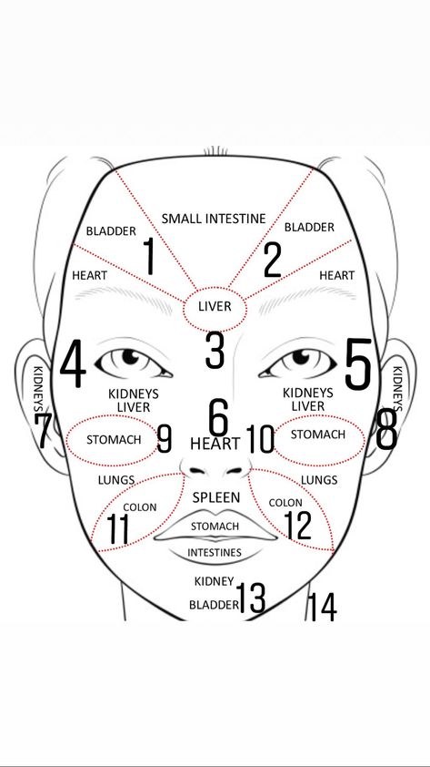 Chinese Face Map, Face Reflexology, Meridian Acupuncture, Acupuncture Points Chart, Full Body Massage Techniques, Body Massage Spa, Face Contouring Makeup, Massage Quotes, Skin Care Business