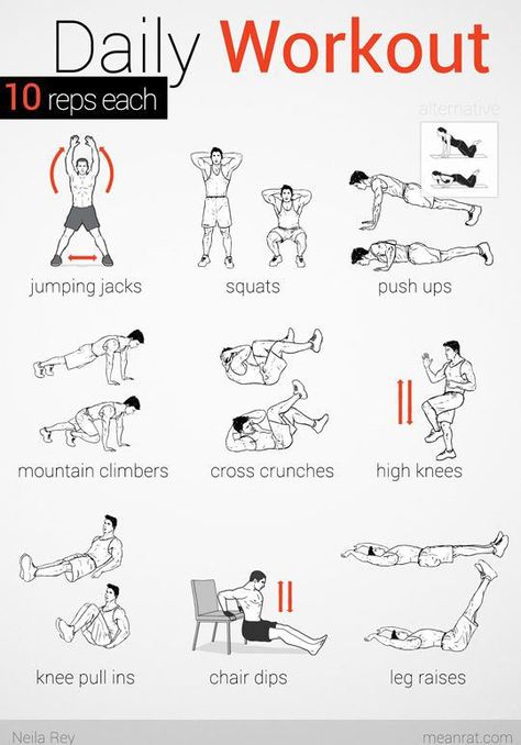 the daily workout no equipment Easy Daily Workouts, David Jimenez, Bolesti Chrbta, Gym Antrenmanları, Trening Fitness, Cardio Training, An Exercise, Gym Workout Tips, Morning Workout