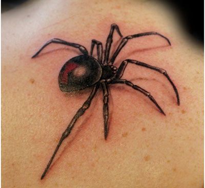 3D Spider Tattoo Design, i hate spiders but wow this looks so real! Black Widow Spider Tattoo, 3d Spider Tattoo, Historical Tattoos, Tato 3d, Black Widow Tattoo, Tatoo 3d, Spider Web Tattoo, 10 Tattoo, Animals Tattoo