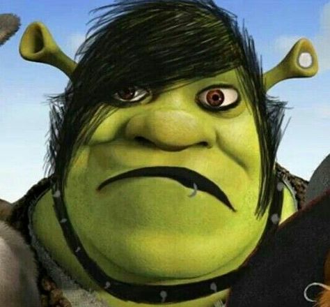 I CAN'T STOP LAUGHING. EMO SHREK Emo Shrek, Emo Disney, Emo Meme, Emo Cringe, Shrek Funny, Shrek Memes, Fairytale Creatures, Emo Pfp, Emo Memes