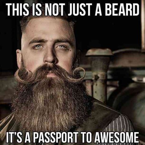 Beard quotes: 40 Best Funny Beard Memes to Celebrate National Beard Day On September. #beards #beardmen #beardstyles #beardsforever #beardeddragon #beardislife #beardideas #beardeddragonideas #beardstyles #beardstylemen #haircut #menstyle Short Hair Long Beard, Hipster Hairstyles Men, Mustache And Goatee, Moustache Style, Hipster Hairstyles, Long Beard, Mustache Styles, Hipster Beard, Beard Humor