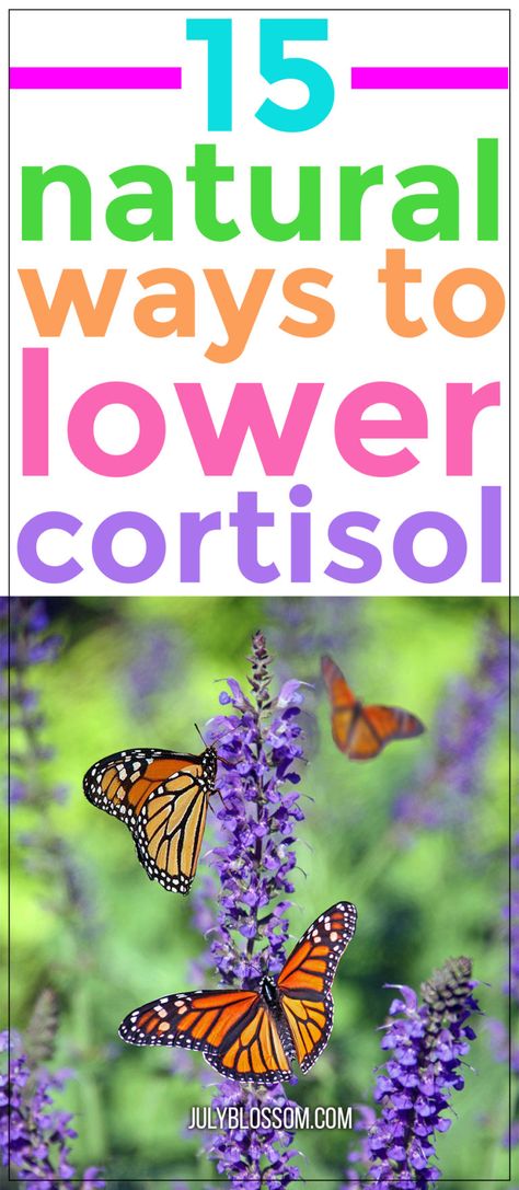 Cortisol Supplements, Cortisol Diet, Cortisol Reduction, How To Lower Cortisol, Lower Cortisol, Lower Cortisol Levels, Reducing Cortisol Levels, High Cortisol, Adrenal Health