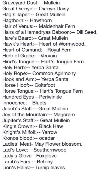 Every witch need to know 3 Witch Names For Herbs, Pop Culture Witchcraft, Folk Names For Herbs, Herbal Names, Witch Marks, Herb Names, Witch Shopping List, Woods Witch, Wood Witch