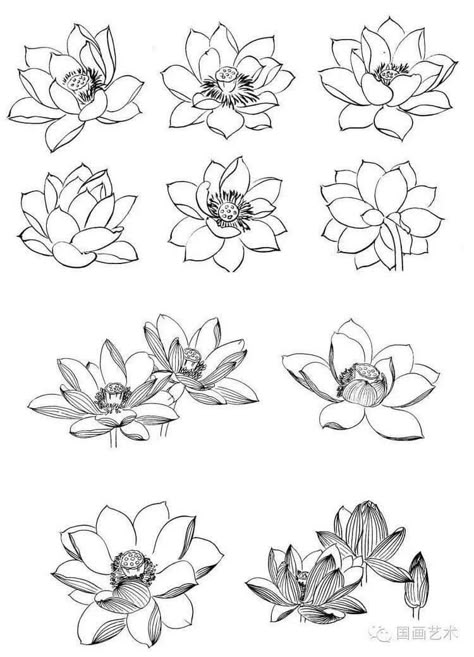 Lotos Flowers Drawing, Lotus Flower Line Drawing, Waterlily Drawing, Line Art Lotus, Fancy Drawing, Flower Art Watercolor, Doodle Zen, Abstract Lotus, Lotus Artwork