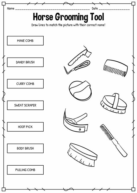 Western Riding Lesson Plans, Parts Of A Horse Printable, Pony Club Worksheets, Horse Activity Sheets, Horse Grooming Tools, Pony Club Activities, Beginner Horse Riding Lesson Plan, Horse Worksheets Free Printable, Horse Lesson Plans