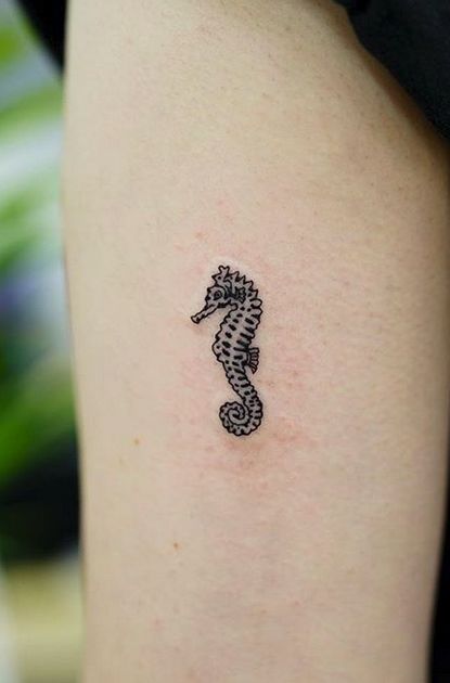 Tiny Tattoos Archives - TattManiaTattMania Tattoo Ideas Seahorse, Seahorse Finger Tattoo, Mini Seahorse Tattoo, Small Seahorse Tattoos For Women, Tiny Seahorse Tattoo, Fine Line Seahorse Tattoo, Seahorse Tattoo Tiny, Mini Octopus Tattoo, Tiny Octopus Tattoo