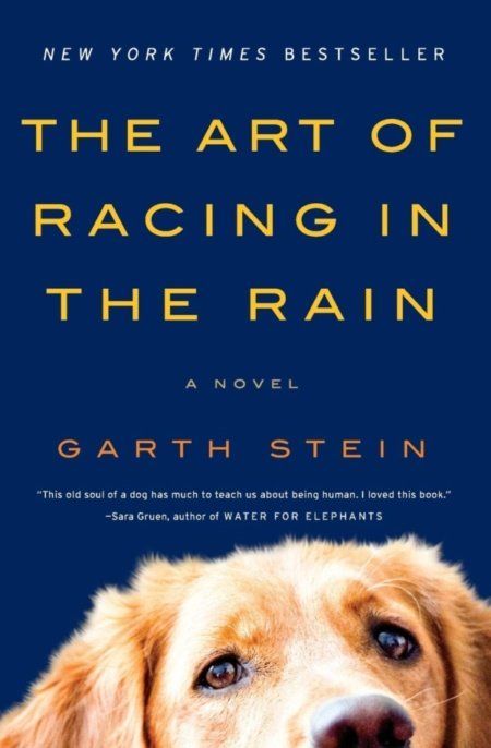 Racing In The Rain, John Ashton, Water For Elephants, Book People, Historical Novels, A Novel, Download Books, In The Rain, Fiction Books