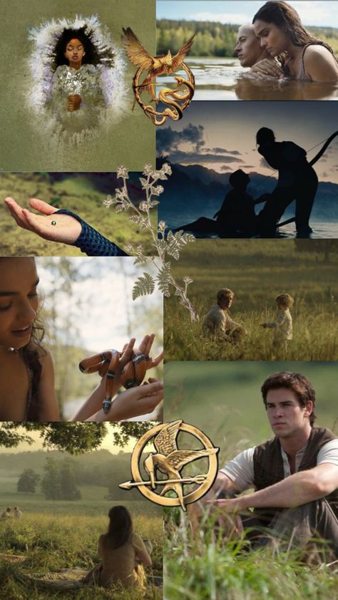 hunger games aesthetic Hunger Games Collage, Hunger Games Aesthetic, Hunger Games Wallpaper, Hunger Games Fan Art, Hunger Games Peeta, Games Wallpaper, Hunger Games Katniss, Games Aesthetic, Hunger Games Books