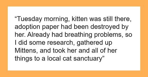 Keep Patience, Adoption Papers, Allergic To Cats, Cat Sanctuary, Breathing Problems, Say Anything, The Door, A Cat, Adoption