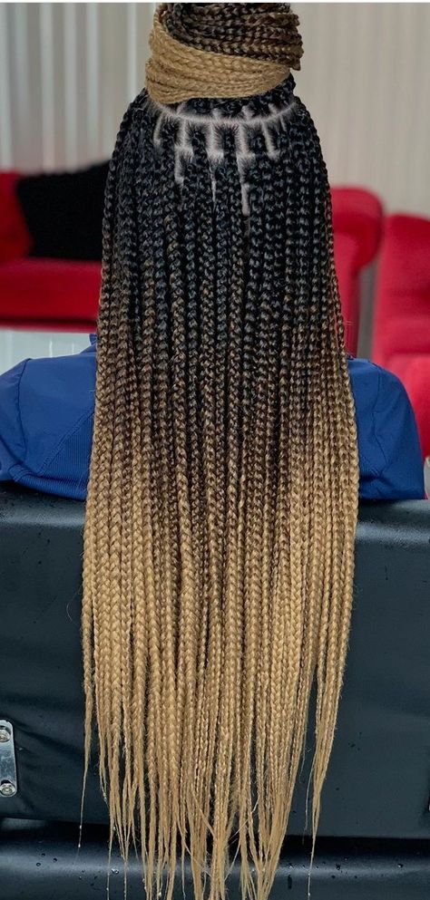 Ombre Braids, Ombre Box Braids, Ombre Braid, Blond Ombre, Medium Box Braids, Color Rubio, Blonde Box Braids, Colored Braids, Cool Braid Hairstyles