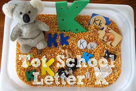 Tot School Printables Letter K is for Keys from Wildflower Ramblings #totschool K Sensory Bin, Letter K Sensory Bin, Dr Seuss Preschool, Sensory Bin Ideas, Tot Trays, Sensory Exploration, Homeschool Preschool Activities, Rice Beans, Busy Boxes