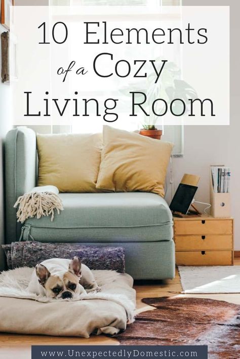 These 10 elements of a cozy home will give you a variety of warm and cozy living room ideas. Learn how to make your living more cozy and inviting! Hygge Aesthetic, Cozy Living Room Ideas, Warm Home Decor, Easy Tricks, Living Room Warm, Kitchens And Bedrooms, Dog Furniture, Cozy Home, Cheap Decor