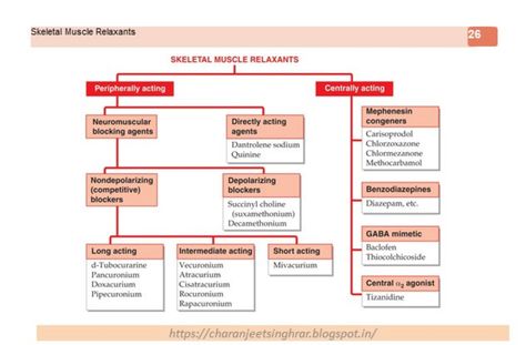 Skeletal muscle relaxants Skeletal Muscle, Skeletal, Pharmacology, Medical School, Medical