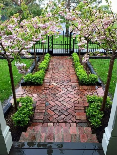 Courtyard Landscaping, Walkway Landscaping, Walkway Design, Brick Path, Pathway Landscaping, Brick Walkway, Walkways Paths, Front Yard Design, Easy Landscaping