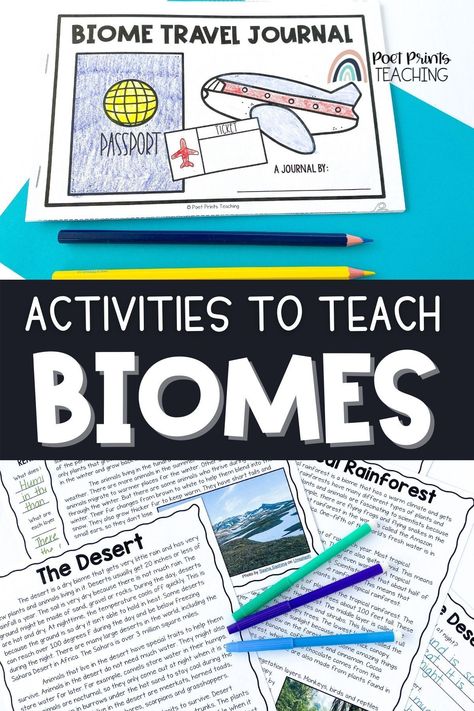 There is so much to know about the biomes of the world! Before you plan your biomes unit, take a peek at the best whole-class games, videos, and hands-on activities that will make your biomes lesson plan fun and educational! These biomes lessons for kids are perfect for 3rd-6th grade! Biome Stem Activity, Biome Project Ideas, 8th Grade Science Classroom, Biomes Activities, Ecosystem Activities, Homeschool Themes, Biomes Project, Grade 4 Science, Around The World Crafts