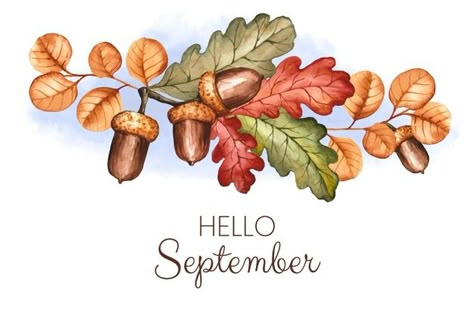 September Clipart Free, September Drawings, September Watercolor, September Clipart, September Painting, September Illustration, September Background, Diy Watercolor Cards, September Art