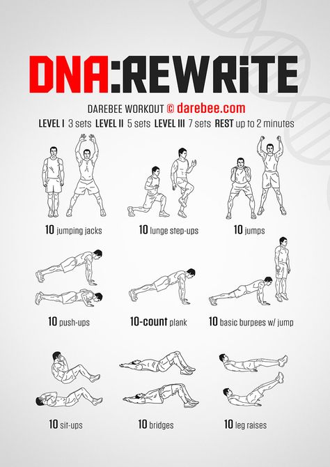 DNA Rewrite Workout Darebee Workout, Exercises For Men, Fighter Workout, Mma Workout, Trening Sztuk Walki, Men Workout, Full Body Workout Routine, Martial Arts Workout, Dad Bod