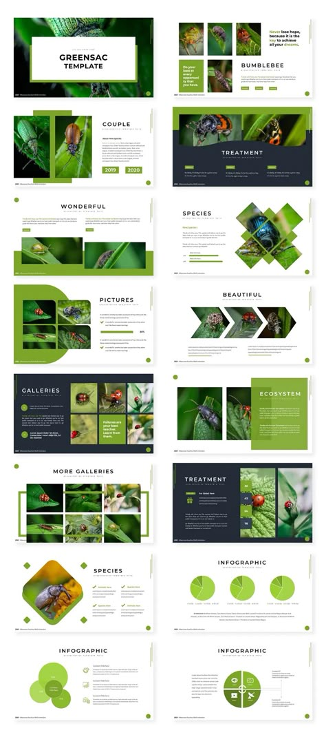 Eco Keynote Template Sustainability Presentation, Sustainability Brochure, Eco Infographic, Agenda Slide, Green Template, Call To Actions, Keynote Design, Infographic Presentation, Powerpoint Presentation Design