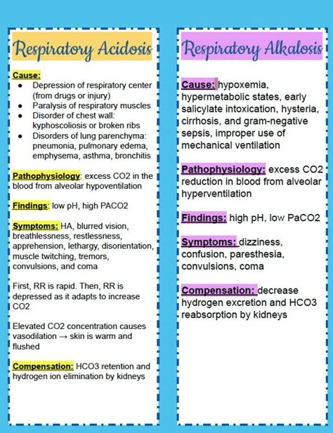 Acid Base Balance ABGs Practices with Answers NCLEX tips on | Etsy Cardiac Notes, Respiratory Nursing, Abg Interpretation, Acidosis And Alkalosis, Nclex Tips, Nursing School Essential, Acid Base Balance, Nursing Study Guide, Nurse Study Notes